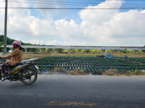 Bán đất xã Đất Đỏ - 506m2 sẵn 80m2 thổ cư