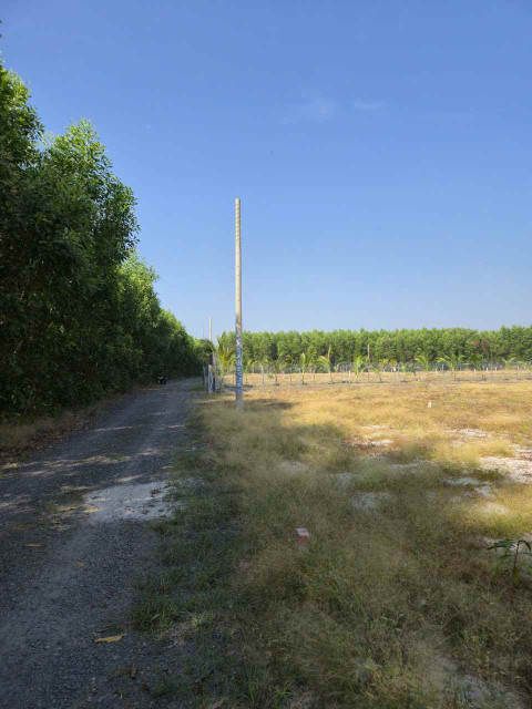 Bán đất vườn cạnh khu công nghiệp Đất Đỏ. Diện tích 1324m2 hai mặt tiền giá chỉ 1,45 tỷ