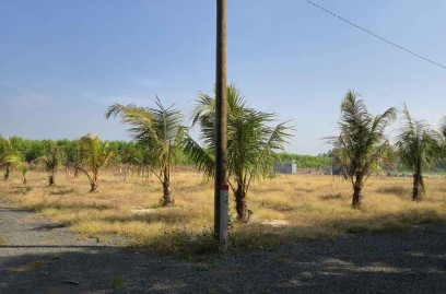 Bán đất vườn cạnh khu công nghiệp Đất Đỏ. Diện tích 1324m2 hai mặt tiền giá chỉ 1,45 tỷ