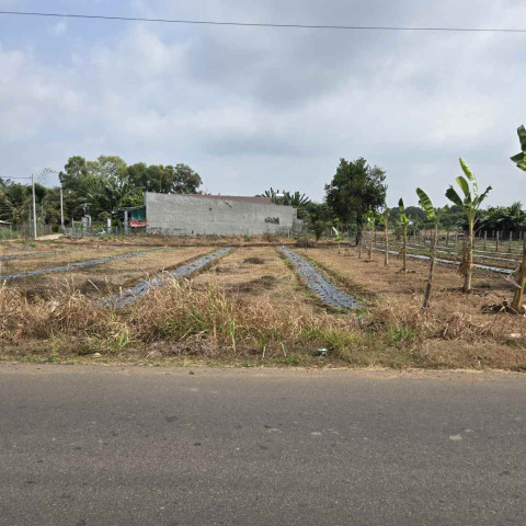 Bán đất thị trấn Đất Đỏ đường Lê Thánh Tông 123m2 giá chỉ 1,2 tỷ