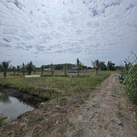 Bán đất Đất Đỏ 2596m2 cạnh kcn Đất Đỏ làm nhà vườn đẹp